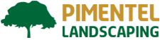 Pimentel Logo